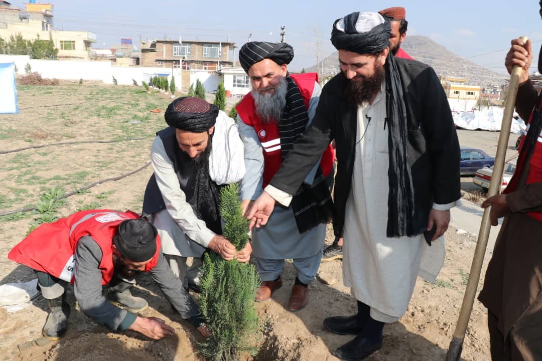 هلال احمر افغانی همزمان با فرارسیدن فصل بهار، غرس ۵۵۰ اصله نهال مثمر و زینتی را در محوطه ریاست عمومی آغاز نمود. هلال احمر افغانی تا پایان سال جاری در چندین ولایت کشور تعدادی نهال های میوه دار و زینتی را غرس و این روند همچنان هنوﺯ ادامه دارد.