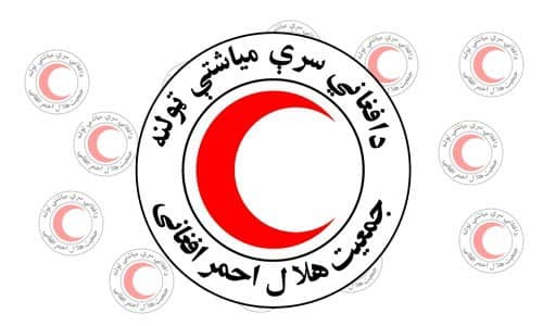 مولوی مطیع الحق خالص سر پرست هلال احمر افغانی در نشست دهم کابینه اشتراک نمود!