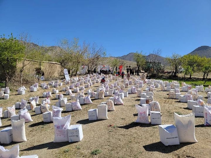 آغاز روند مساعدت برای ۵۰۰ خانواده نیازمند ولایت دایکندی!