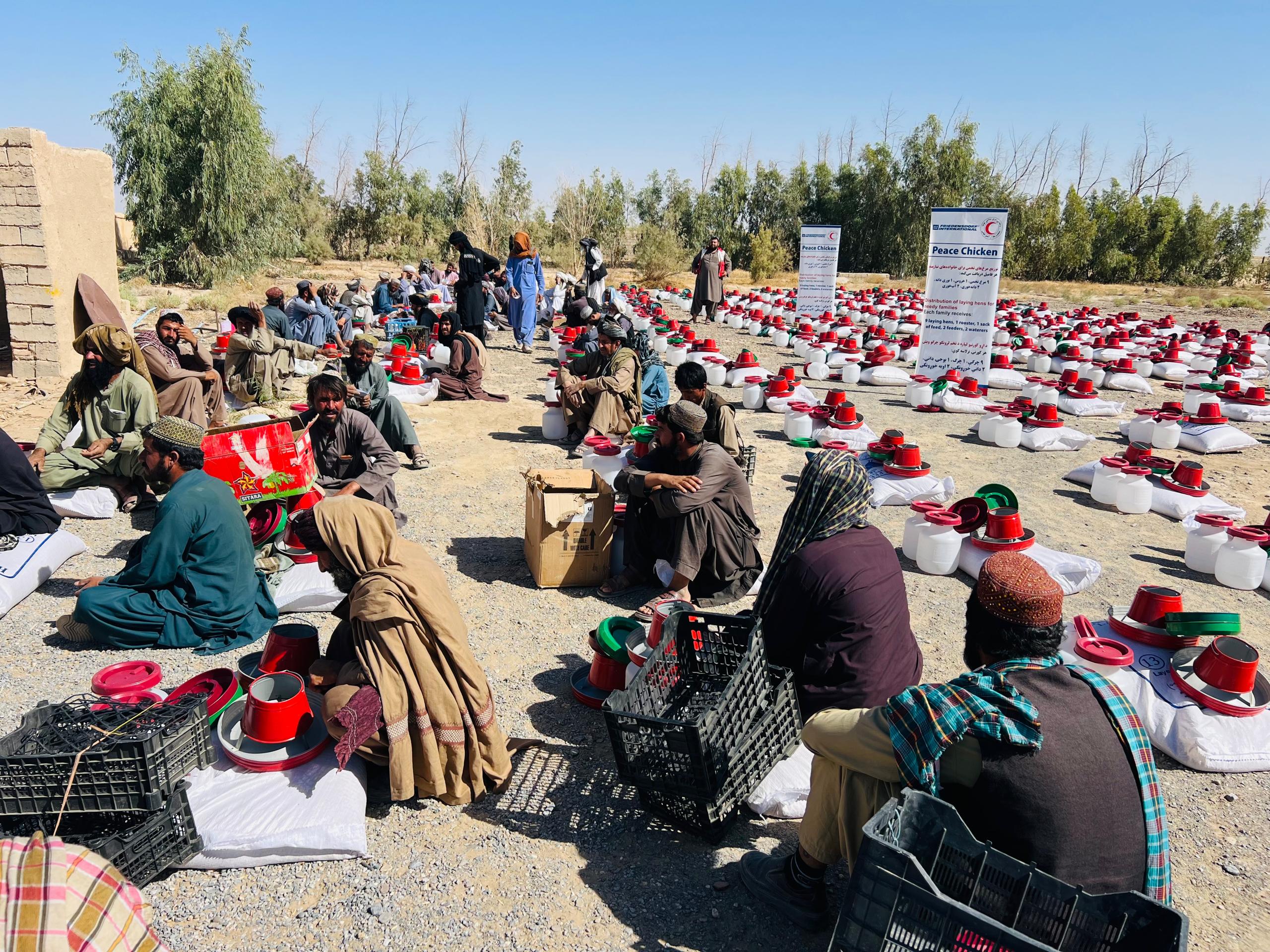 نیمروز کې ۱۰۰۰ کورنیو ته د ځان بسياینې لپاره چرګې او د پالنې توکي ورکړل شول