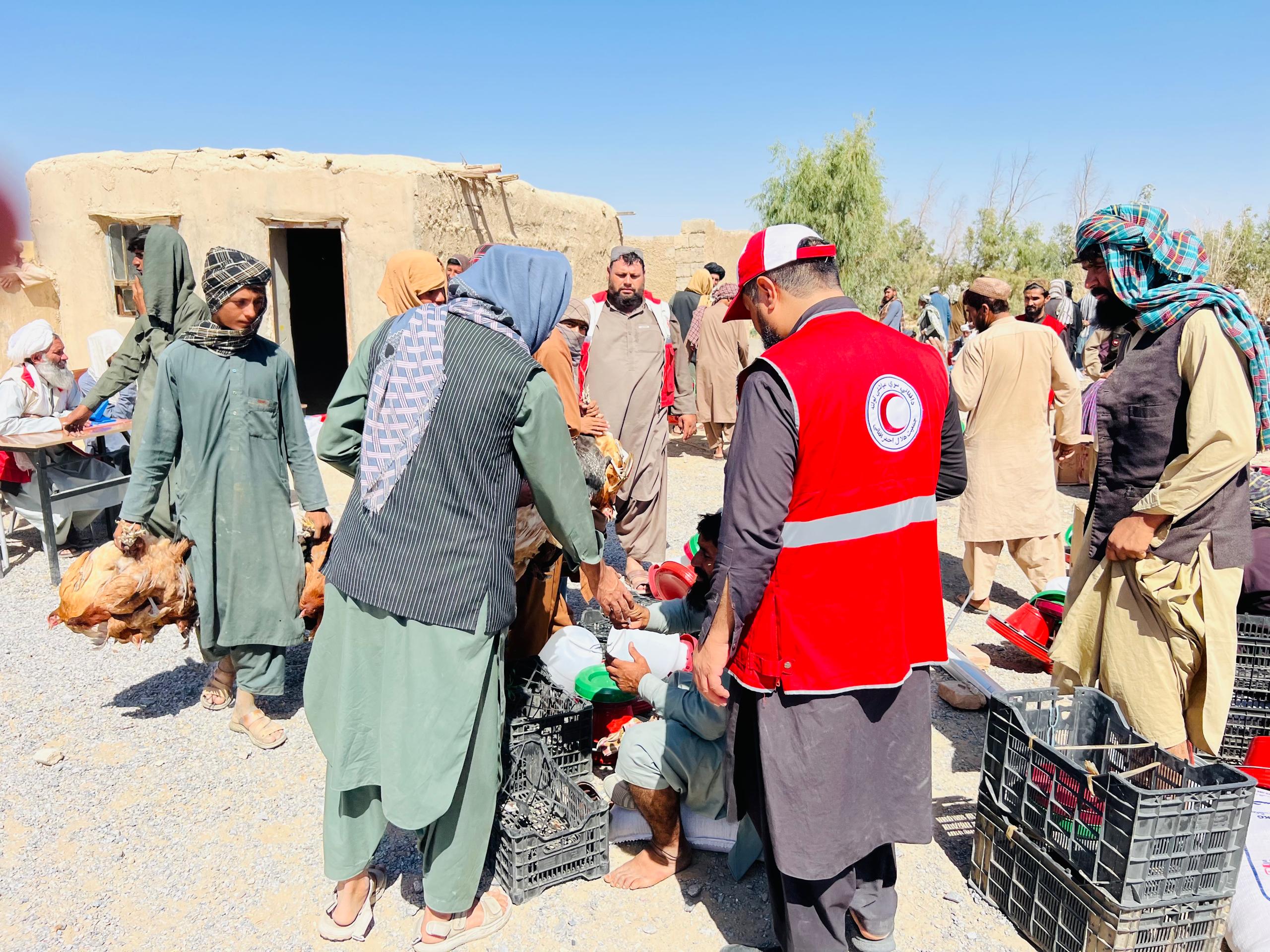 در ولایت نیمروز، به منظور خودکفایی ۱۰۰۰ خانواده، مرغ و وسایل و نگهداری توزیع شد