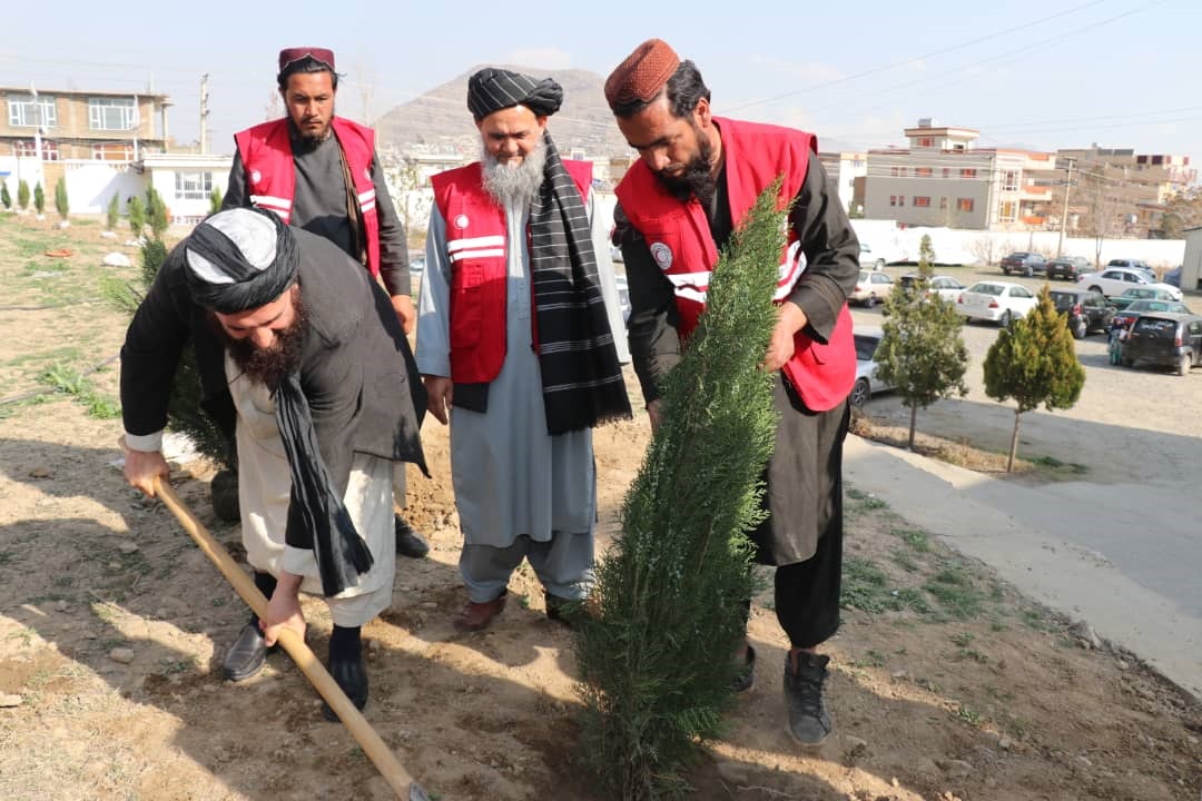 هلال احمر افغانی همزمان با فرارسیدن فصل بهار، غرس ۵۵۰ اصله نهال مثمر و زینتی را در محوطه ریاست عمومی آغاز نمود. هلال احمر افغانی تا پایان سال جاری در چندین ولایت کشور تعدادی نهال های میوه دار و زینتی را غرس و این روند همچنان هنوﺯ ادامه دارد.